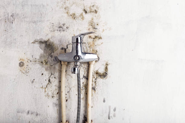 Best Post-Flood Mold Remediation in Medical Lake, WA