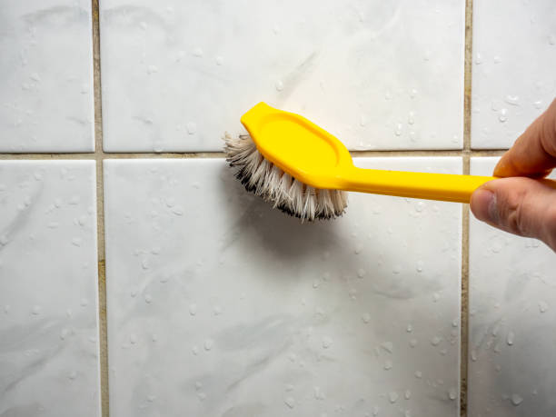 Best Insurance-Related Mold Remediation in Medical Lake, WA