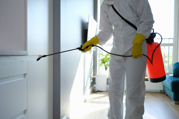 Best White Mold Remediation in Medical Lake, WA